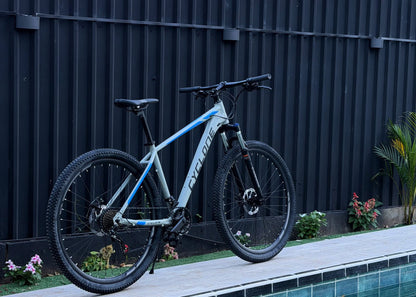BICICLETA RIN 29 CYCLONE - ARENA 2x8