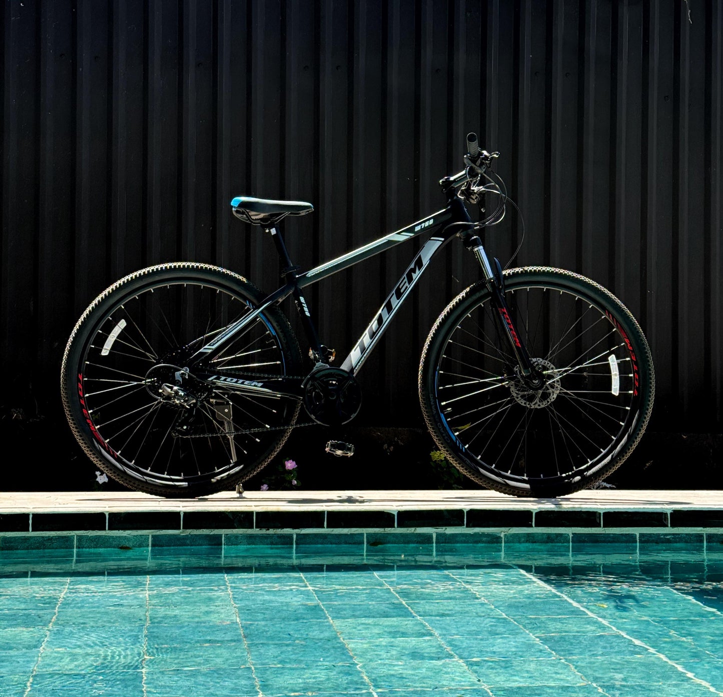 BICICLETA RIN 29 TOTEM W760 3x7