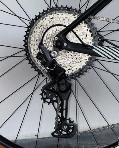 BICICLETA RIN 29 ALVAS STORM RACE - CARBON