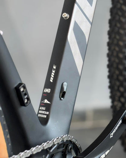 BICICLETA RIN 29 ALVAS STORM RACE - CARBON