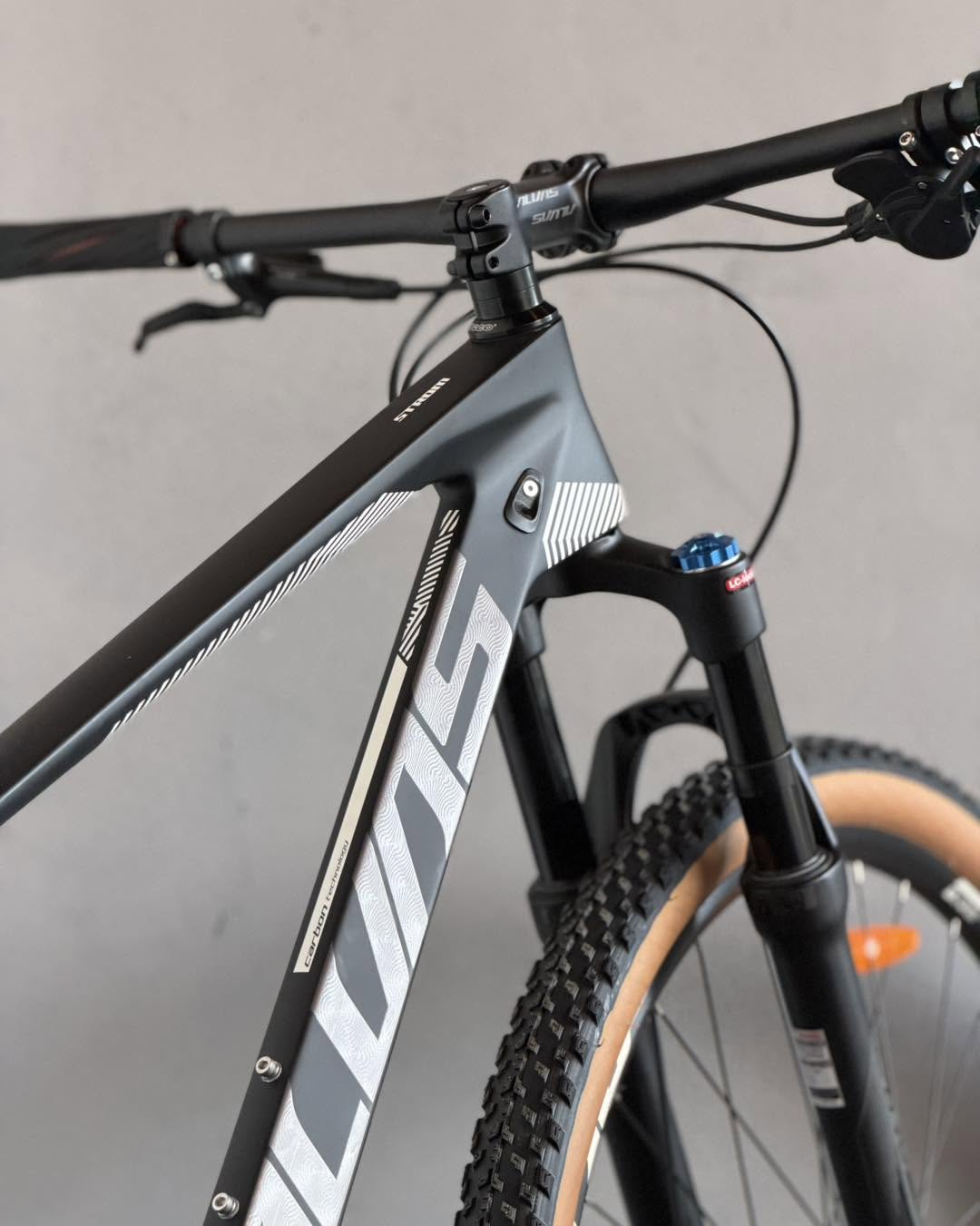 BICICLETA RIN 29 ALVAS STORM RACE - CARBON