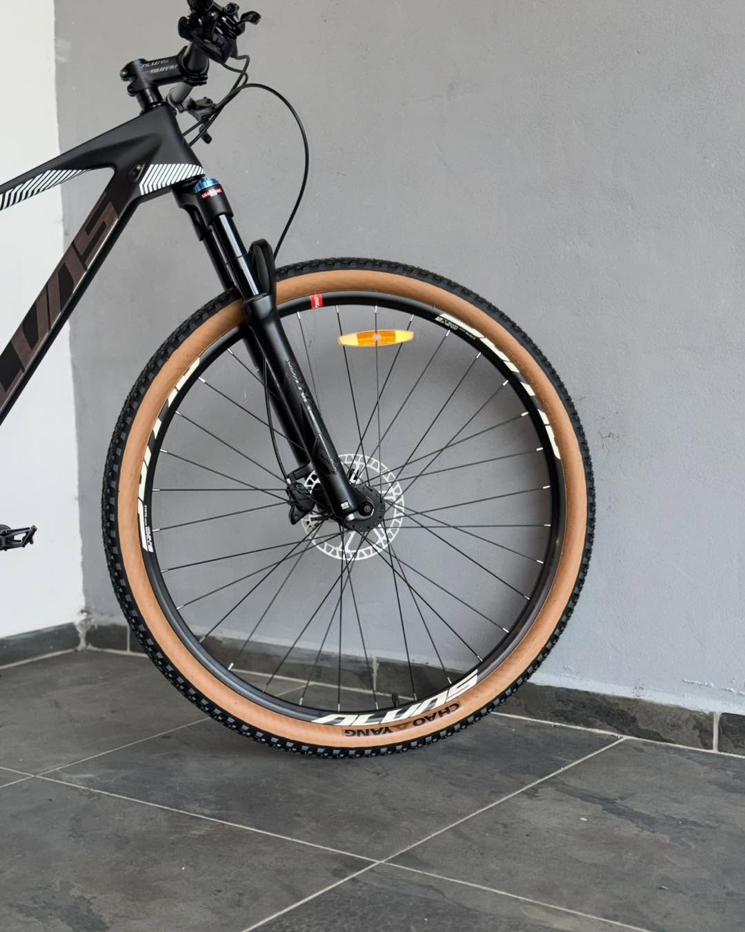BICICLETA RIN 29 ALVAS STORM RACE - CARBON
