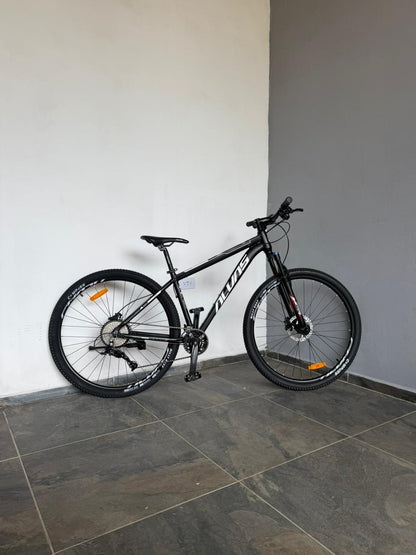BICICLETA RIN 29 ALVAS GARIBE 2X10 - HIDRAULICA