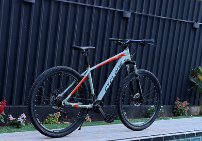 BICICLETA RIN 29 CYCLONE - ARENA 2x8