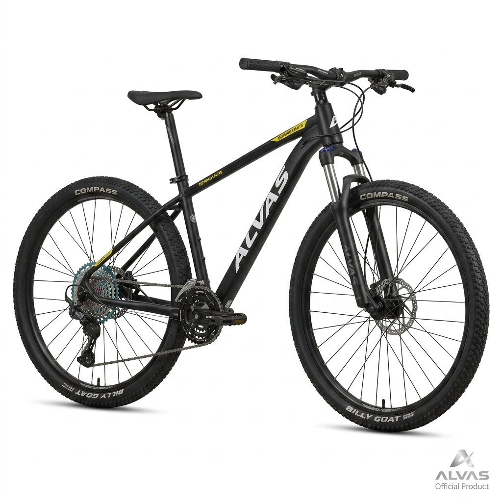 BICICLETA RIN 29 ALVAS GARIBE 2X10 - HIDRAULICA