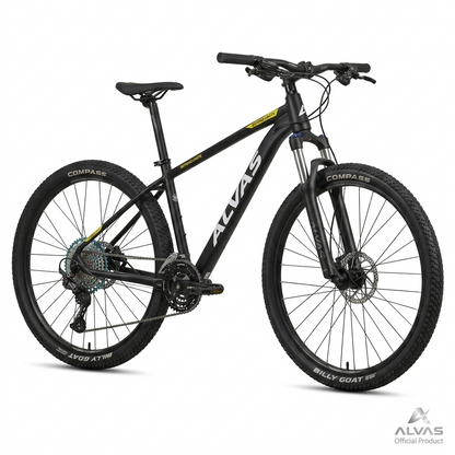 BICICLETA RIN 29 ALVAS GARIBE 2X10 - HIDRAULICA