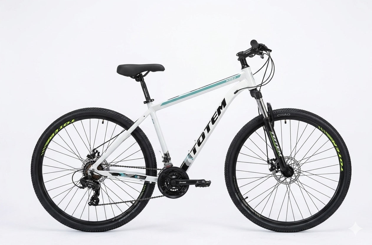 BICICLETA RIN 29 TOTEM W860 3X7