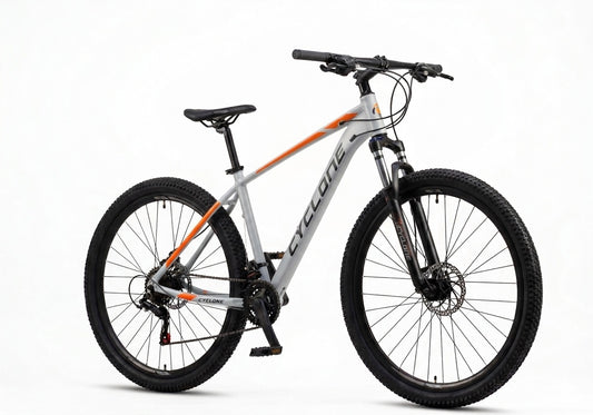 BICICLETA RIN 29 CYCLONE - ARENA 2x8